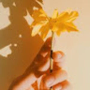 Meet your Posher, Joy